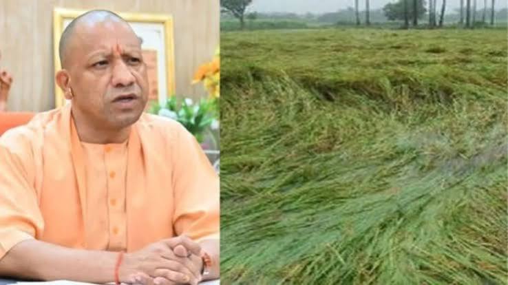 मुख्यमंत्री योगी आदित्यनाथ ने मौसम की अनिश्चितता के मद्देनजर कृषि व संबंधित विभागों को बीमा कवरेज बढ़ाने के निर्देश दिए