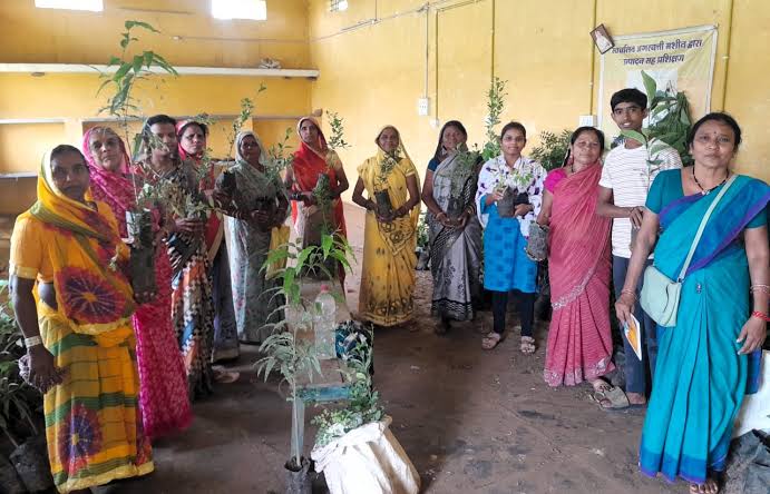ग्रामीण महिलाओं की आत्मनिर्भरता को मुख्यमंत्री विष्णुदेव साय के नेतृत्व में  मिल रही नई उड़ान