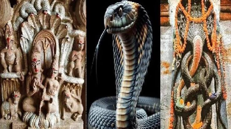 नाग देवता के इन 5 मंदिरों में दर्शन का है विशेष महत्व, नाग पंचमी पर उमड़ती है श्रद्धालुओं की भीड़