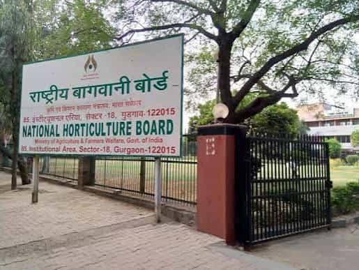 Horticulture Subsidy पर बड़ा अपडेट: NHB ने दो योजनाओं के नए आवेदन एक महीने के लिए रोके, जानिए क्या है वजह